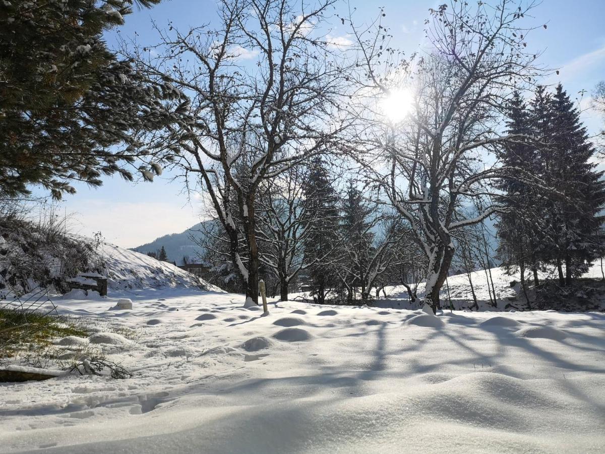Villa Haus Senna Murau Esterno foto